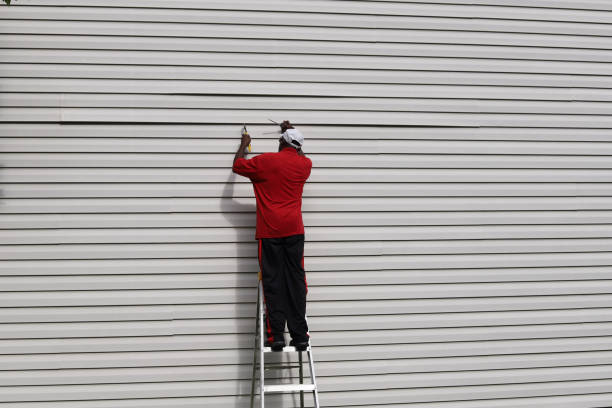 Storm Damage Siding Repair in Felton, DE